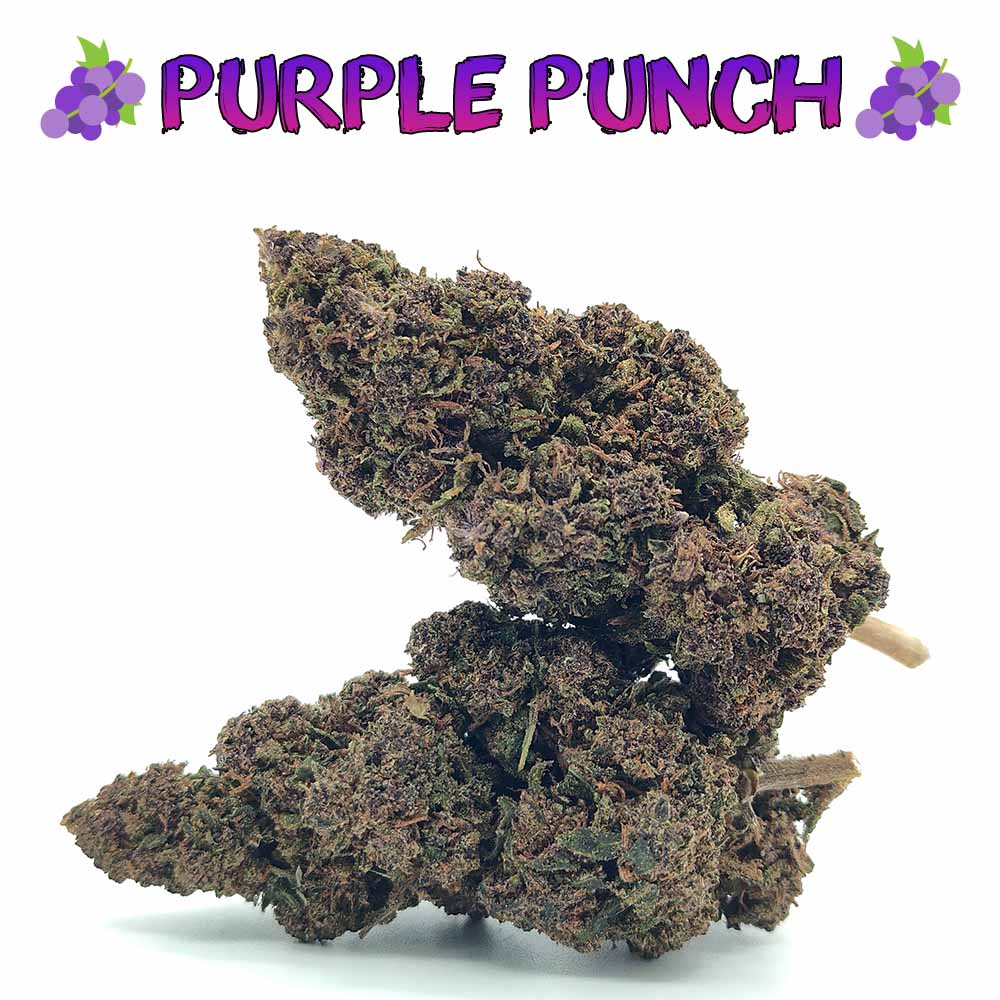 Purple Punch