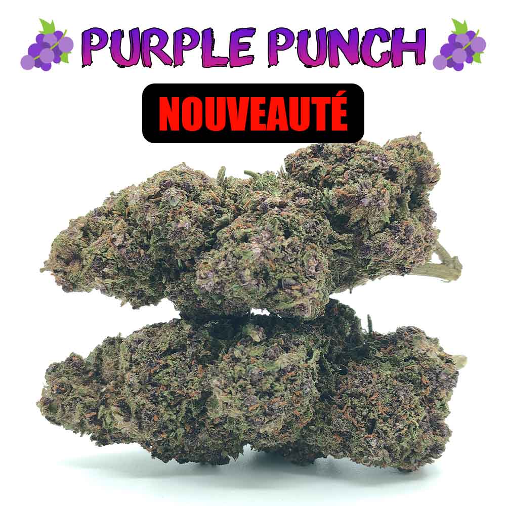Purple Punch