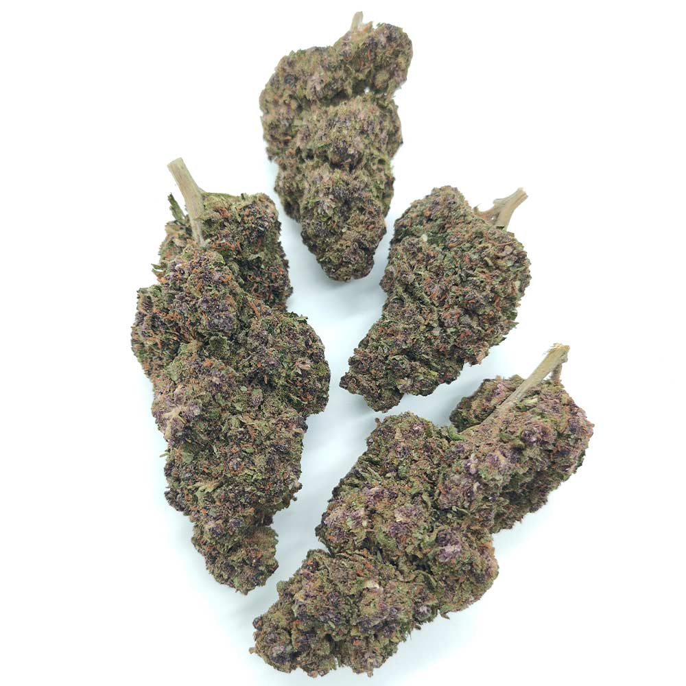 Purple Punch