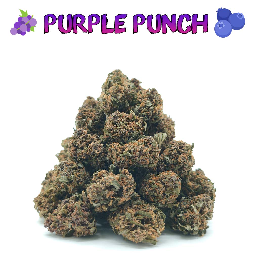 Popcorn - Purple Punch