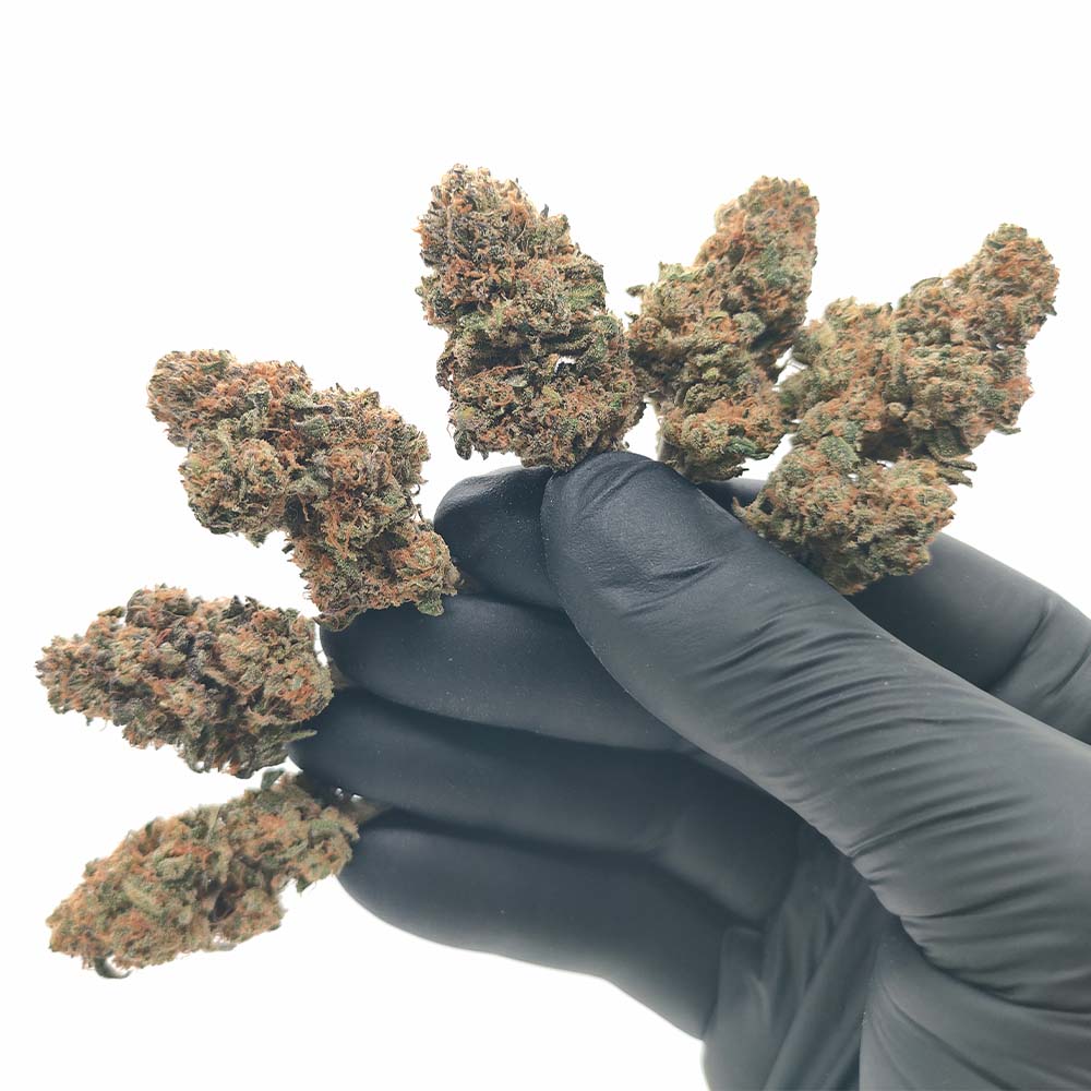 Runtz US CBD - Luxury Edition