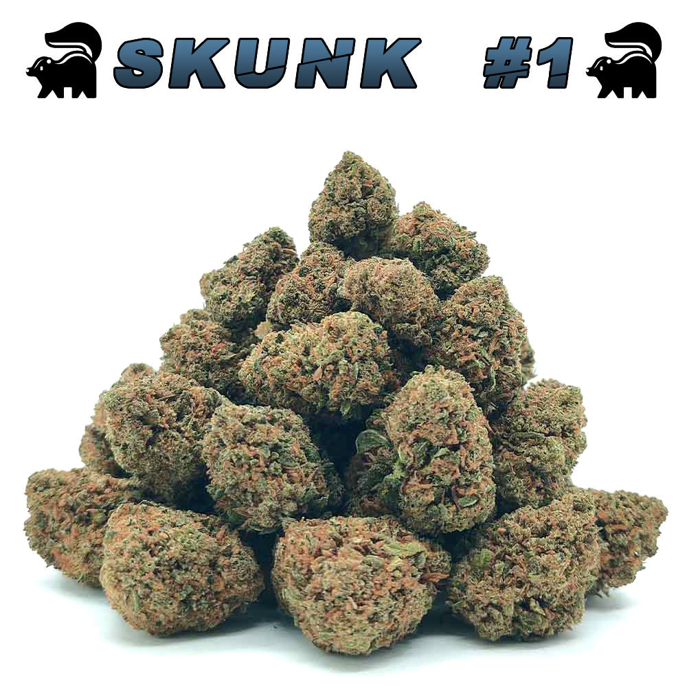 Popcorn - Skunk #1