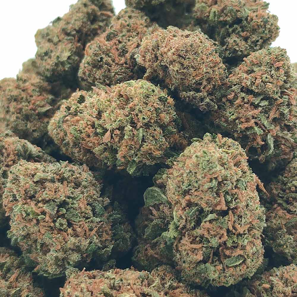 Popcorn - Skunk #1