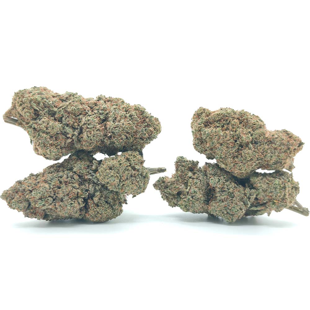 Sour Amnesia - Luxury Edition