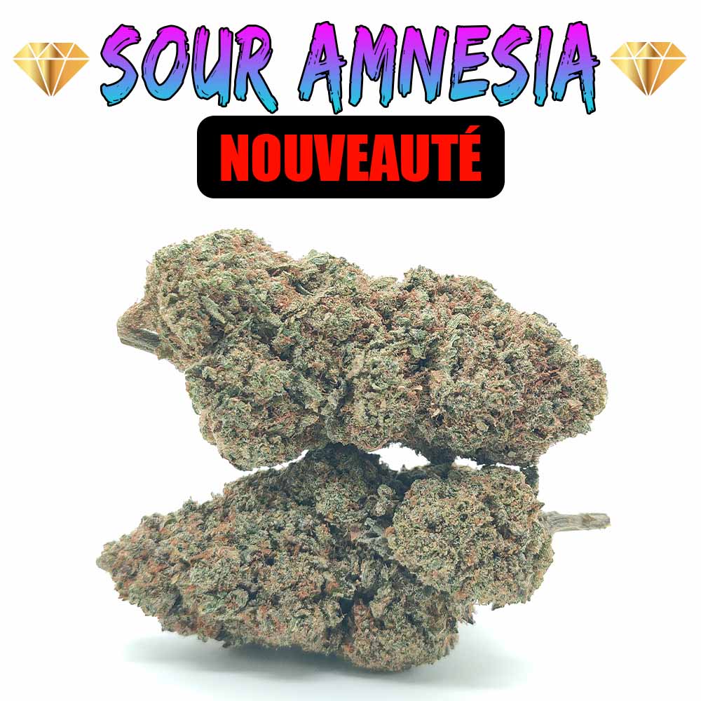 Sour Amnesia - Luxury Edition