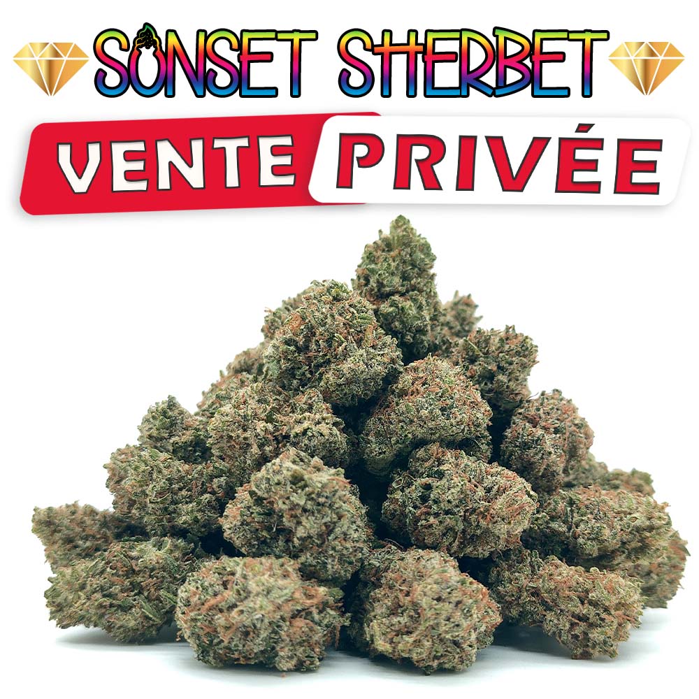 Vente PrivĂ©eđ Sunset Sherbet - Popcorn Luxury Edition