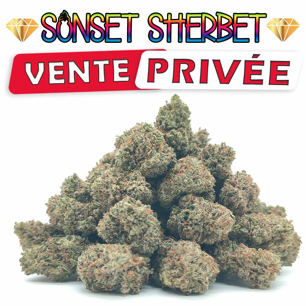 Vente PrivĂ©eđ Sunset Sherbet - Popcorn Luxury Edition