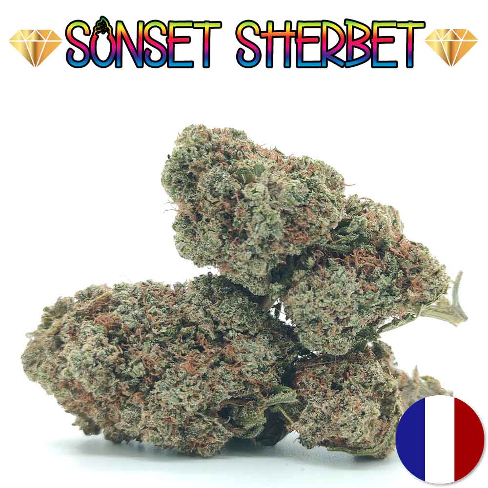 Sunset Sherbet US CBD - Luxury Edition