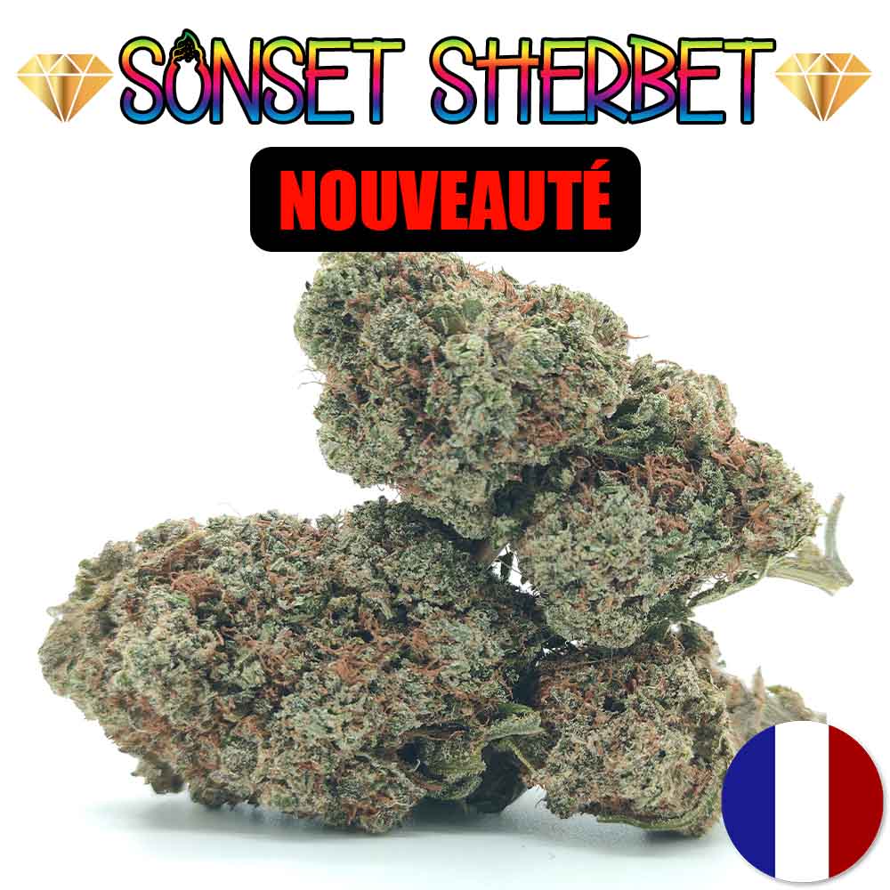 Sunset Sherbet US CBD - Luxury Edition