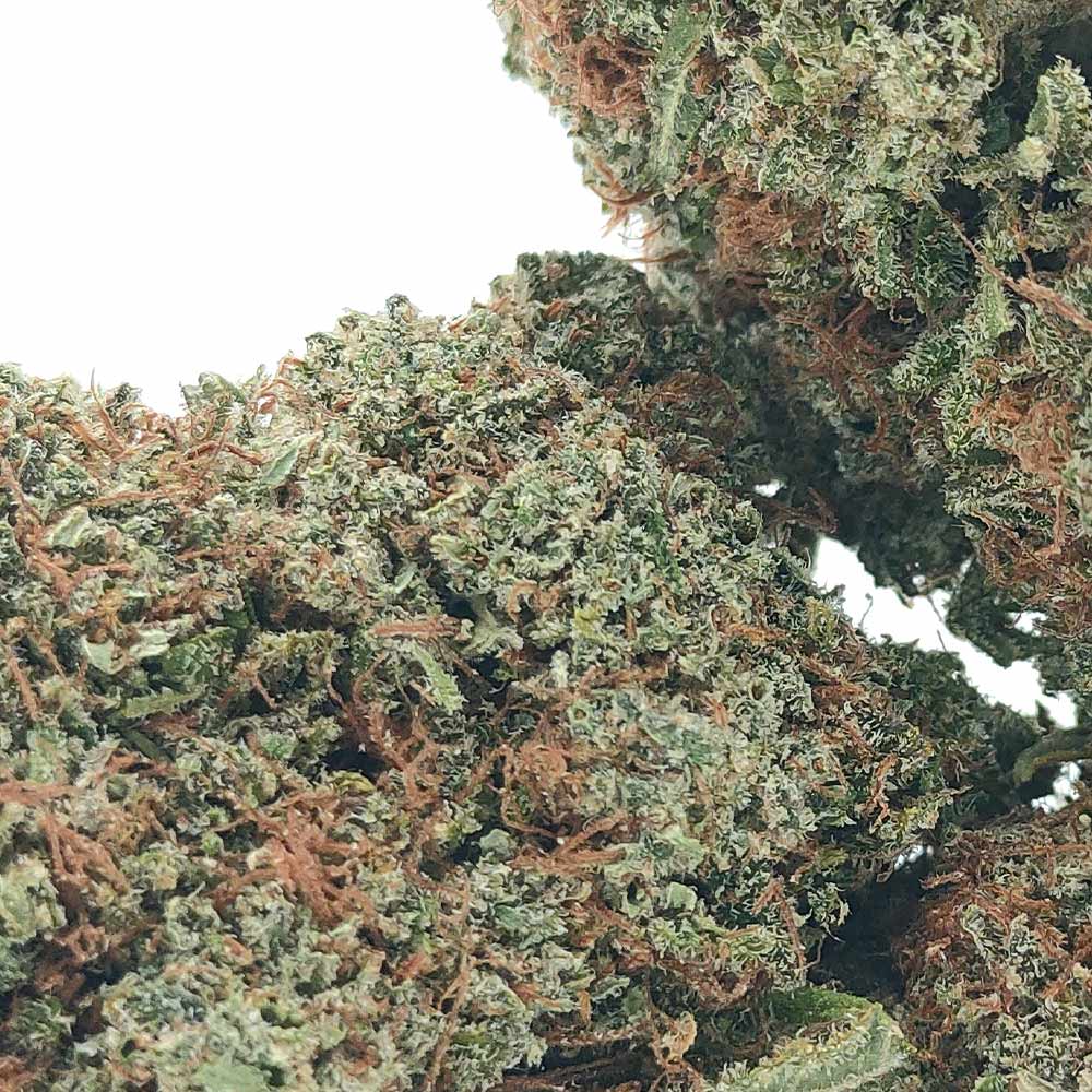 Sunset Sherbet US CBD - Luxury Edition