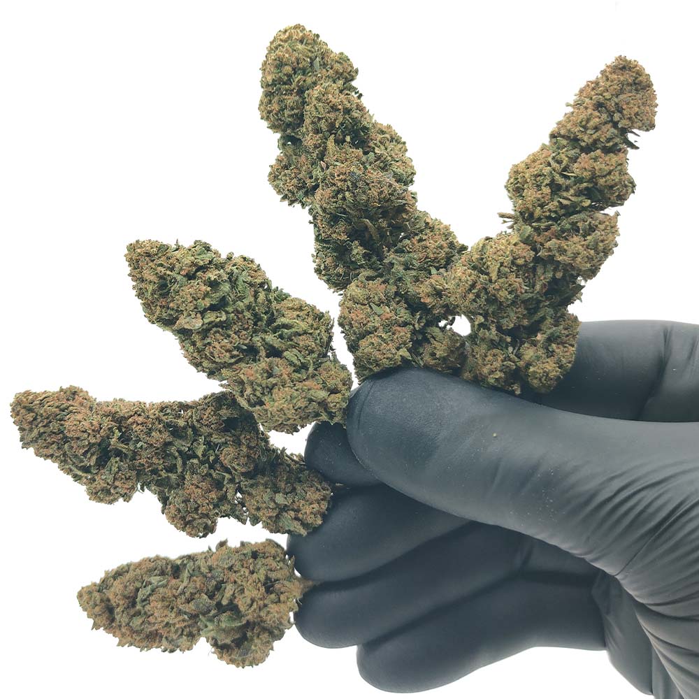 Super Silver Haze