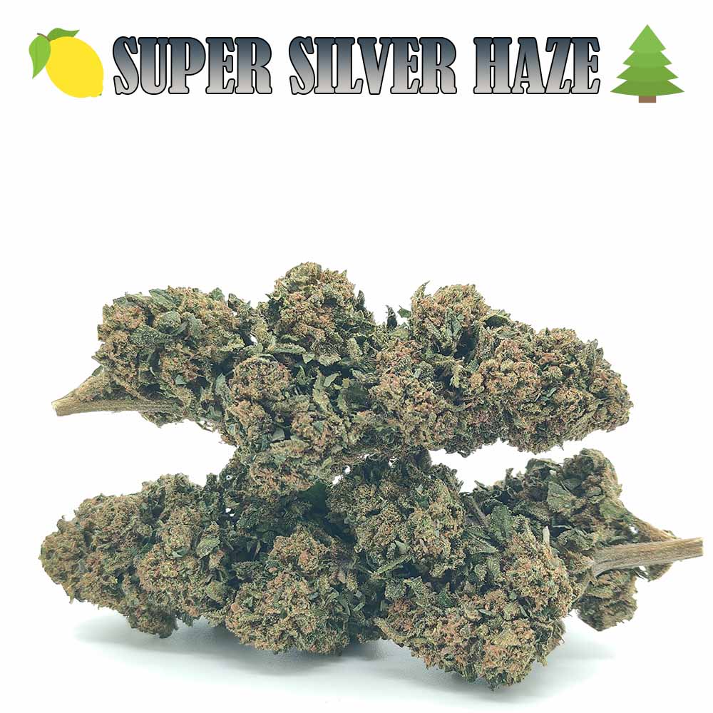 Super Silver Haze