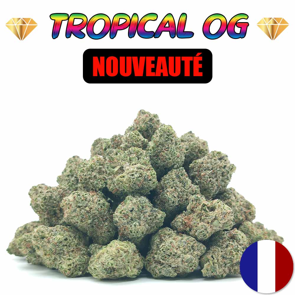 Tropical OG - Popcorn Luxury Edition