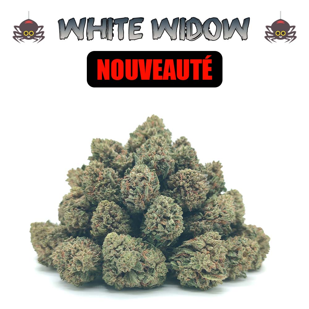 Popcorn - White Widow