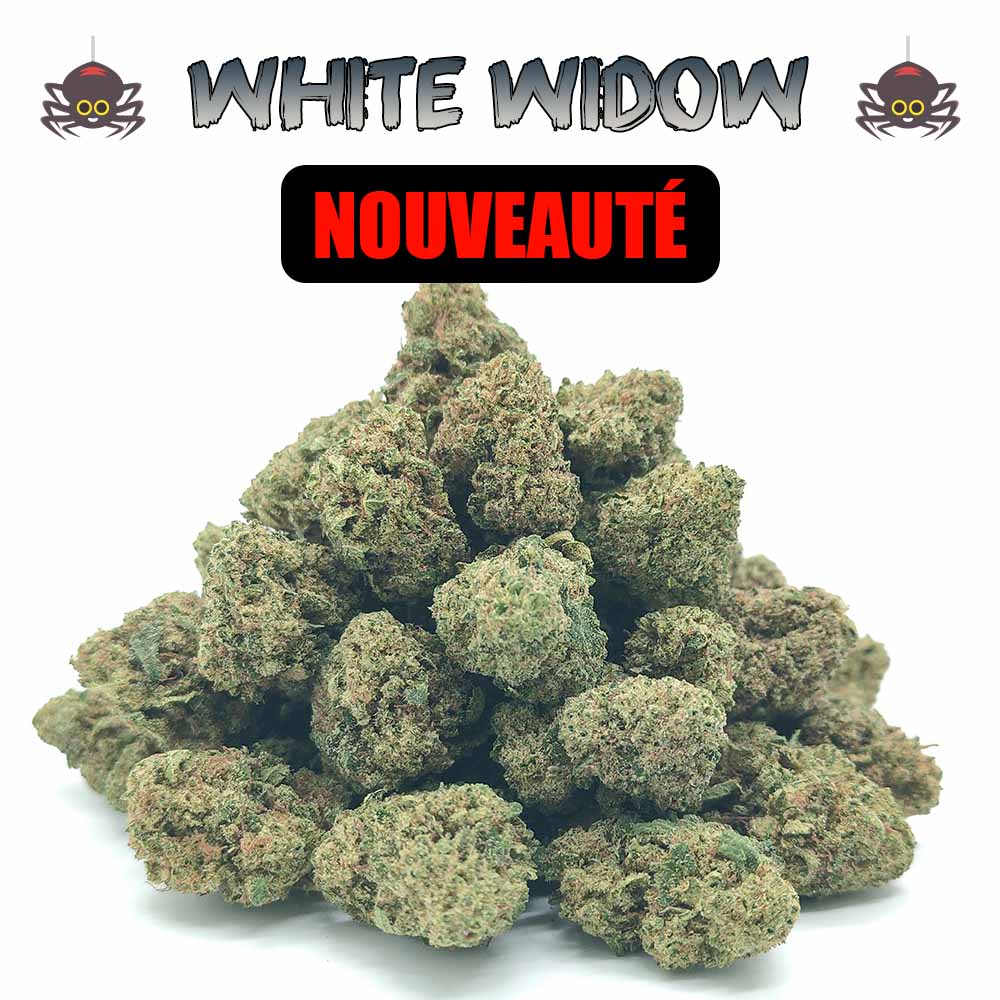Popcorn - White Widow