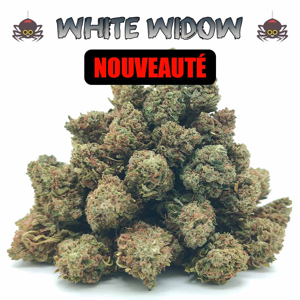 Popcorn - White Widow