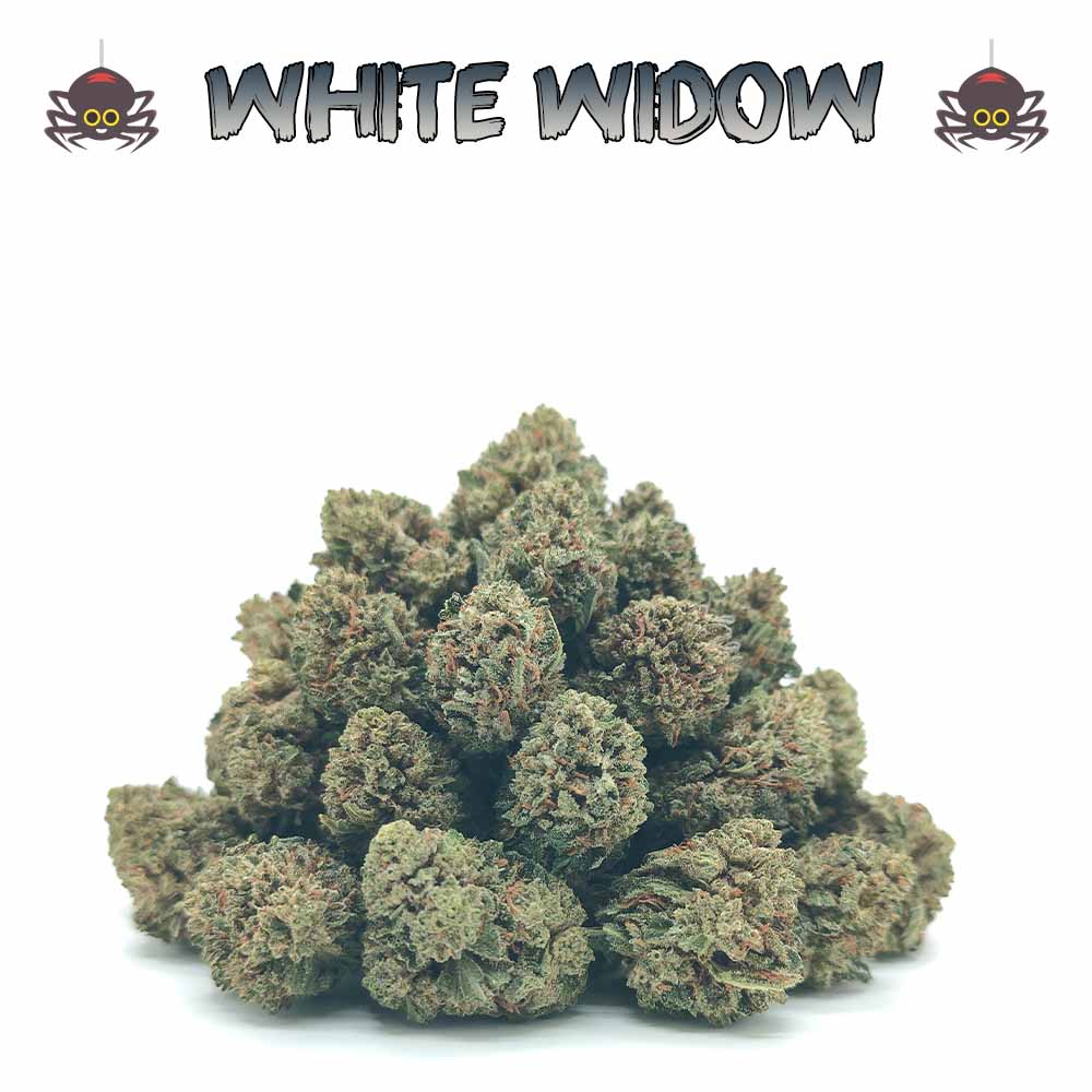 Popcorn - White Widow