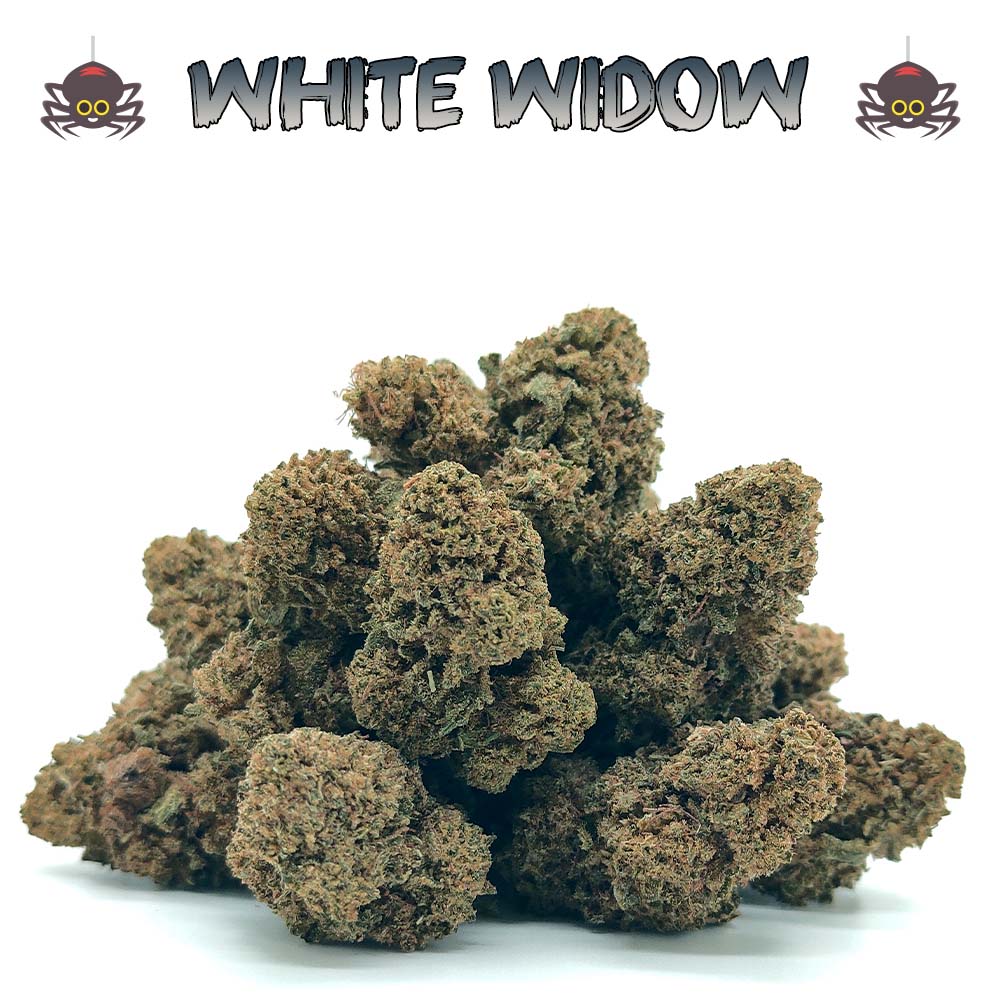 Popcorn - White Widow
