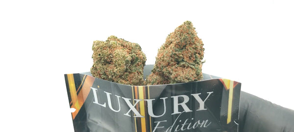 Super Lemon Haze - Luxury Edition