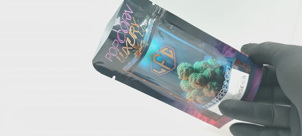 Northern Lights - Popcorn Luxury Edition