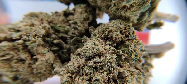 AK47 CBG