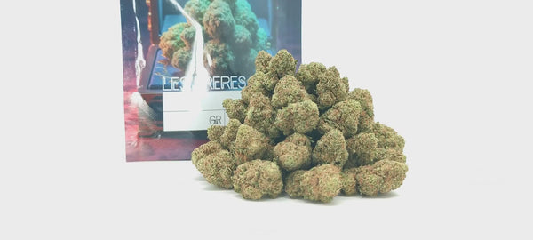 Northern Lights - Popcorn Luxury Edition