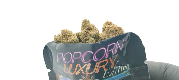 Vente Privée🌟 Amnesia Haze - Popcorn Luxury Edition