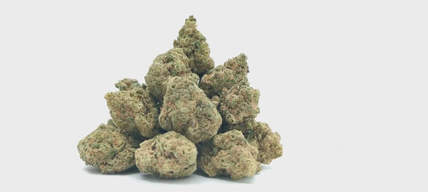 Cookie Kush - Popcorn Luxury Edition