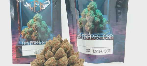 Girl Scout Cookies - Popcorn Luxury Edition