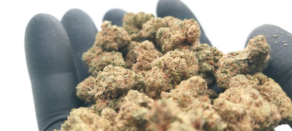 Vente Privée🌟 Amnesia Haze - Popcorn Luxury Edition