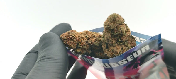 Bruce Banner CBD
