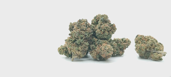 Runtz US CBD - Luxury Edition
