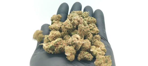 Girl Scout Cookies - Popcorn Luxury Edition