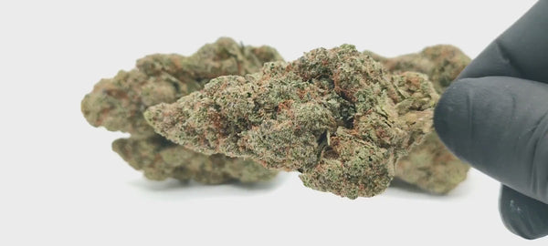 Plutonium US CBD - Luxury Edition