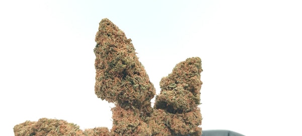 Cherry Pie