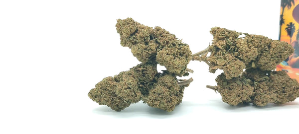 AK47 CBG