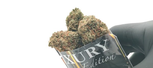 Sunset Sherbet US CBD - Luxury Edition