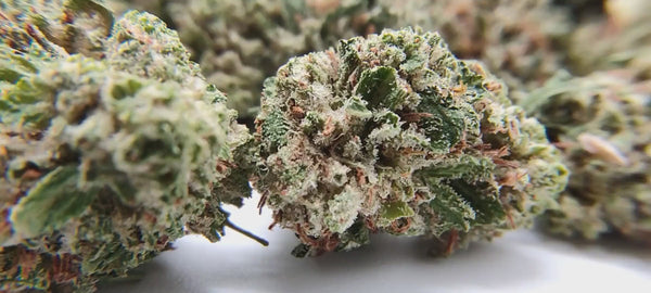 Popcorn - White Widow