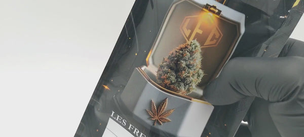 Critical Haze - Luxury Edition