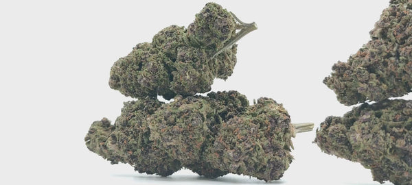 Purple Punch