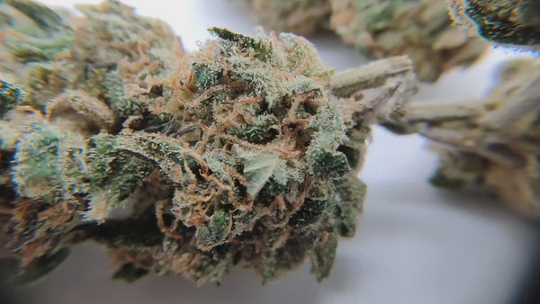 Runtz US CBD - Luxury Edition