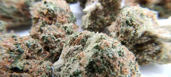 Girl Scout Cookies - Popcorn Luxury Edition