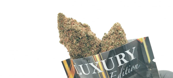 Ghost OG Hydro Cali - Luxury Edition