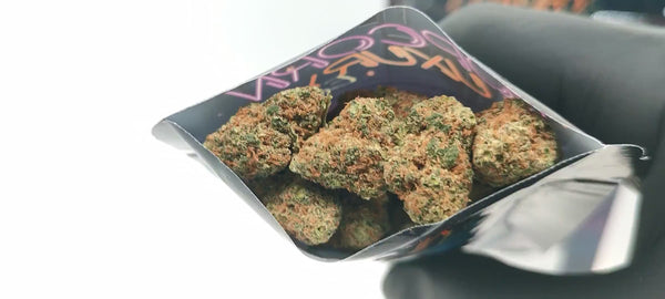 Girl Scout Cookies - Popcorn Luxury Edition