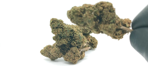 AK47 CBG