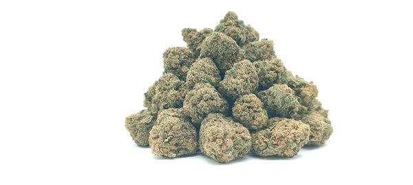 Amnesia Kush CBD