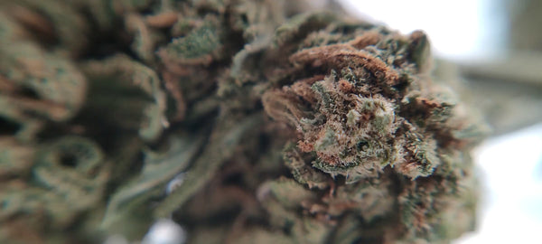 Platinum Kush