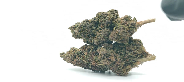 Purple Punch