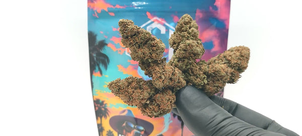 Bruce Banner CBD