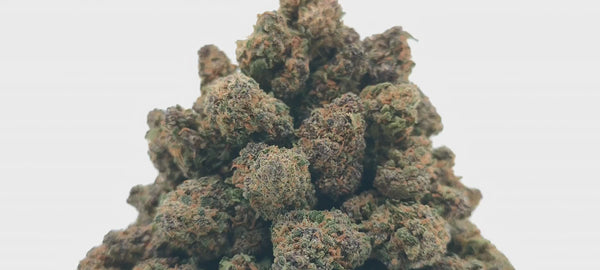 Popcorn - Platinum Kush